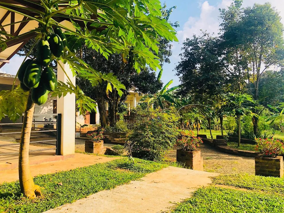 Hotel Into The Wild Sigiriya Sri Lanka
