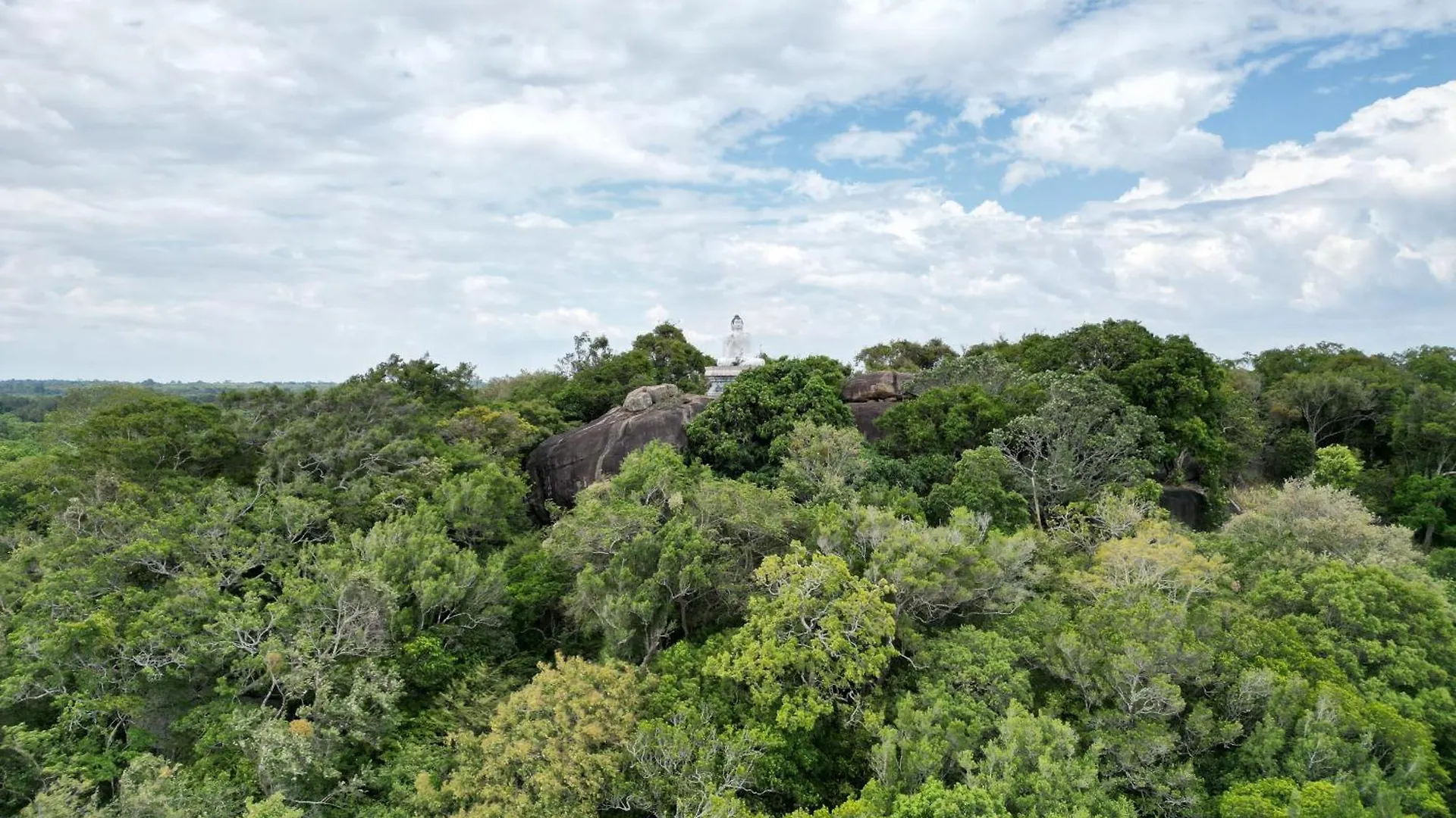 Into The Wild Sigiriya Hotel