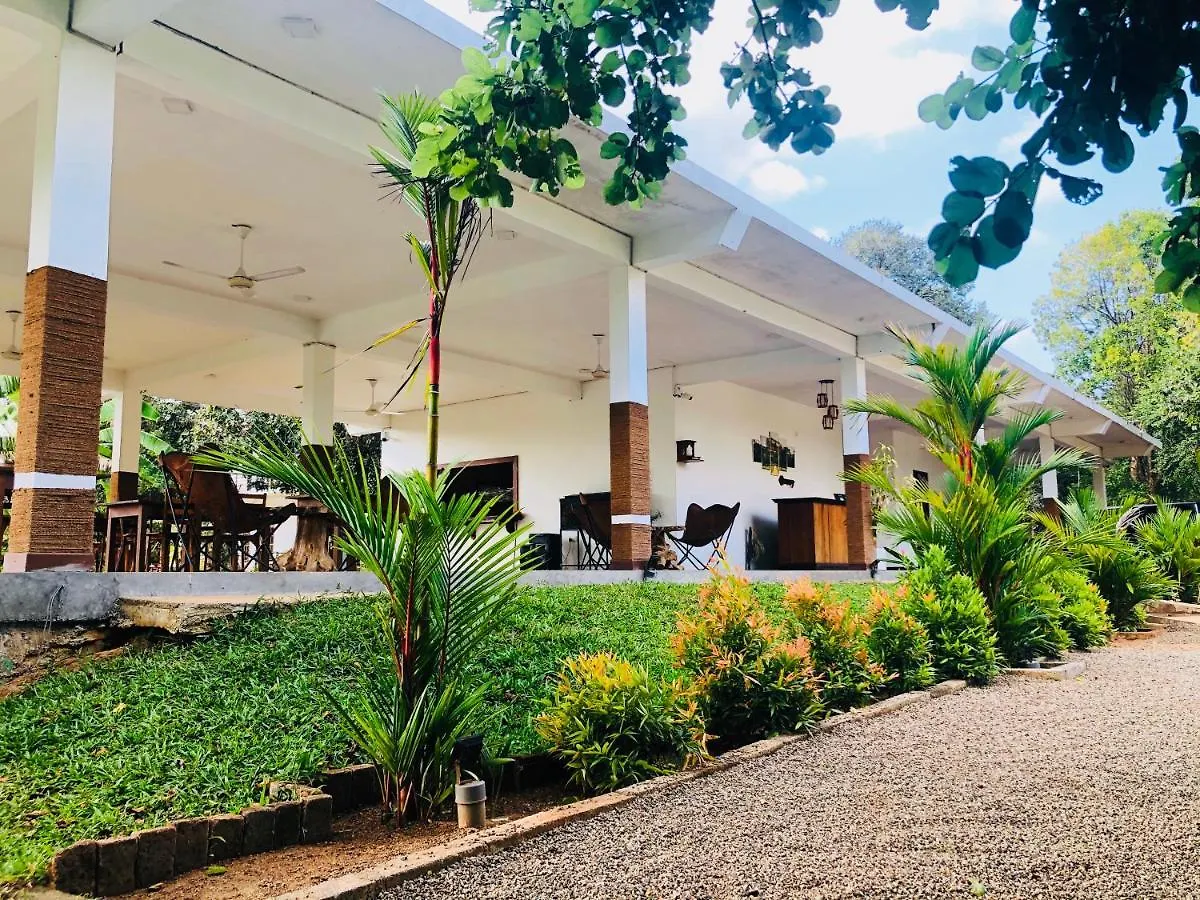 Into The Wild Sigiriya Hotel